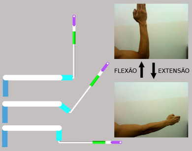 EXO_-_C.Andrey_-_Flexo_e_extenso_de_cotovelo