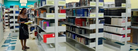 Biblioteca 1