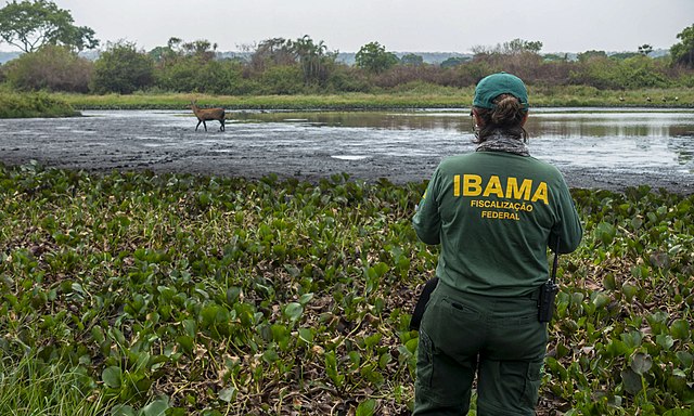 Professor da Poli comenta em matéria da Agência epbr sobre projeto da Petrobras na Foz do Amazonas